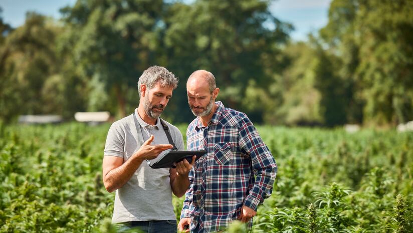 What role can biosolids play in supporting regen ag, hemp production? What role can biosolids play in supporting regen ag, hemp production?
