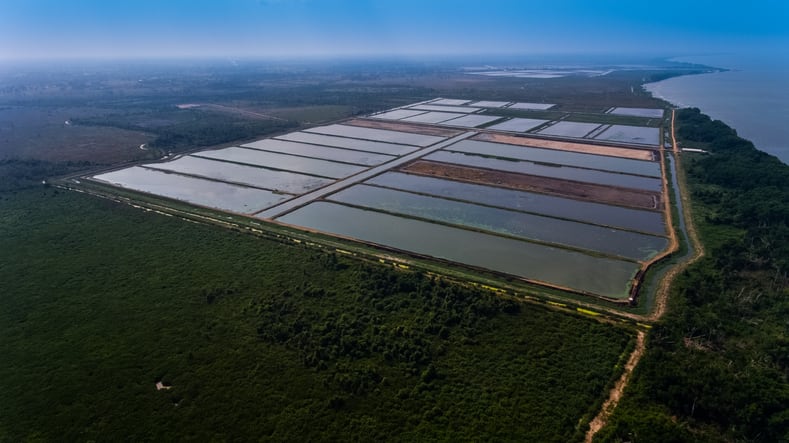 FAO: Feed industry must meet expanding aquaculture demand ‘in a sustainable way’