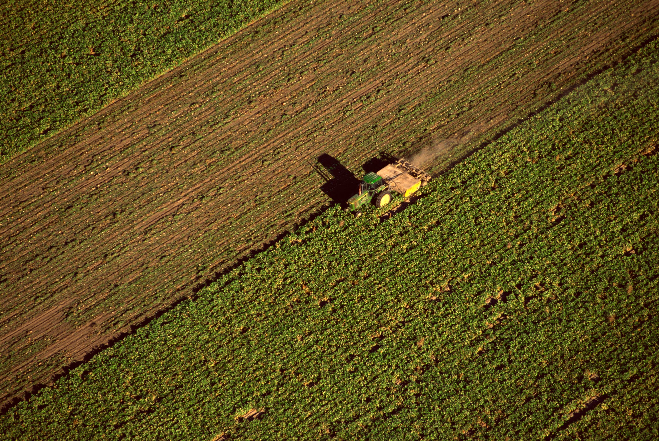 A new project will use data and AI to support low-carbon practices in sugar beet cultivation.
