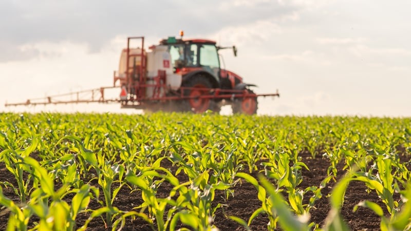Fertilizer management: Why cutting crop nutrients could do more harm than good