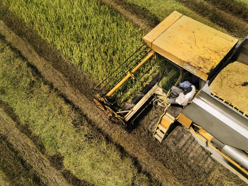 Against a backdrop of regulatory pressure and margin compression, Crop Science has become a central pillar of Bayer’s turnaround story.