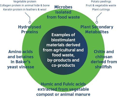 Biostimulants-from-by-product-unbranded-2.jpg