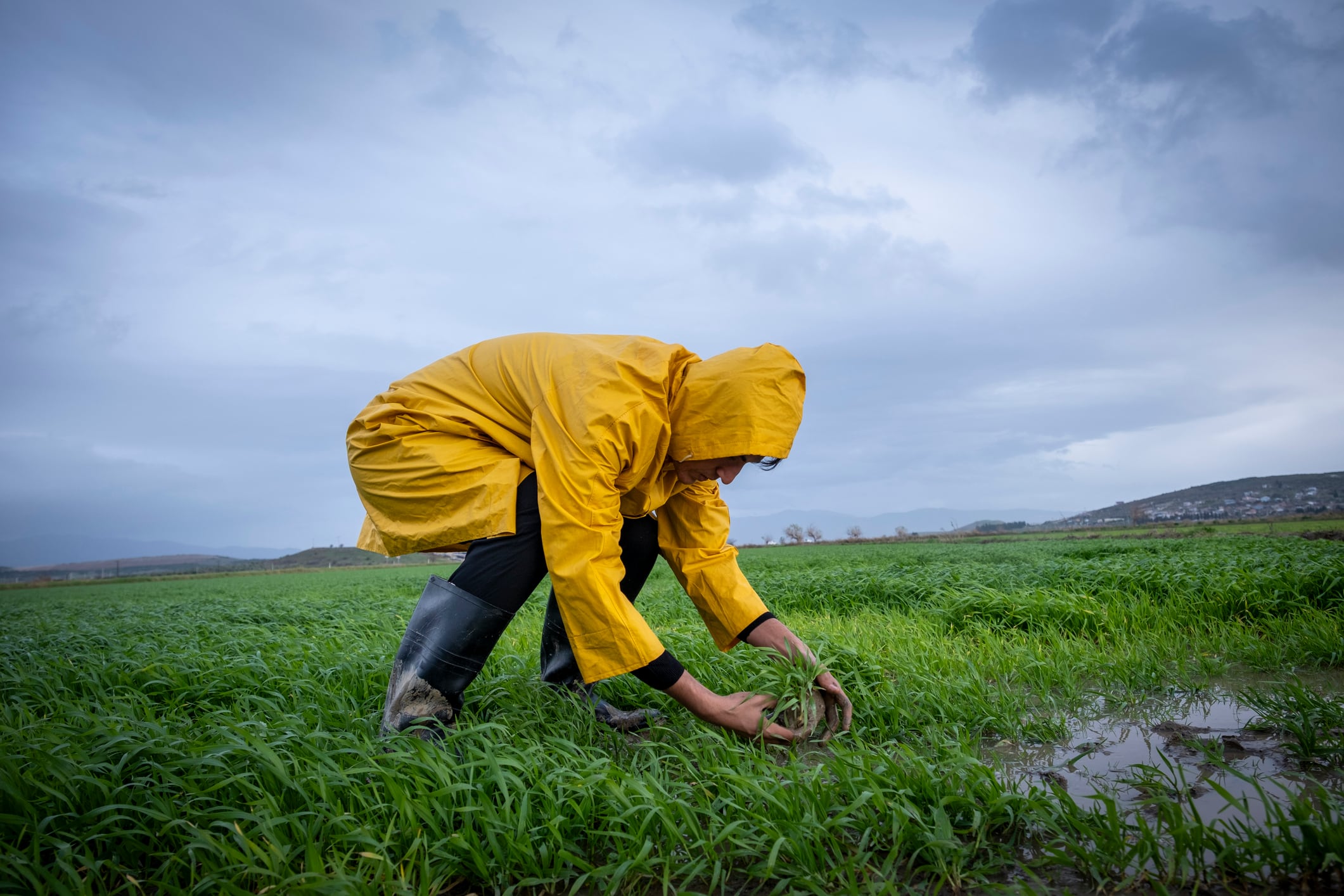 Elaniti is using soil microbiome analysis and AI to provide farmers with actionable insights to improve crop performance and sustainability.