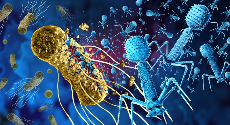 Effective, yet vulnerable: Review outlines key hurdles to using bacteriophages for plant disease control