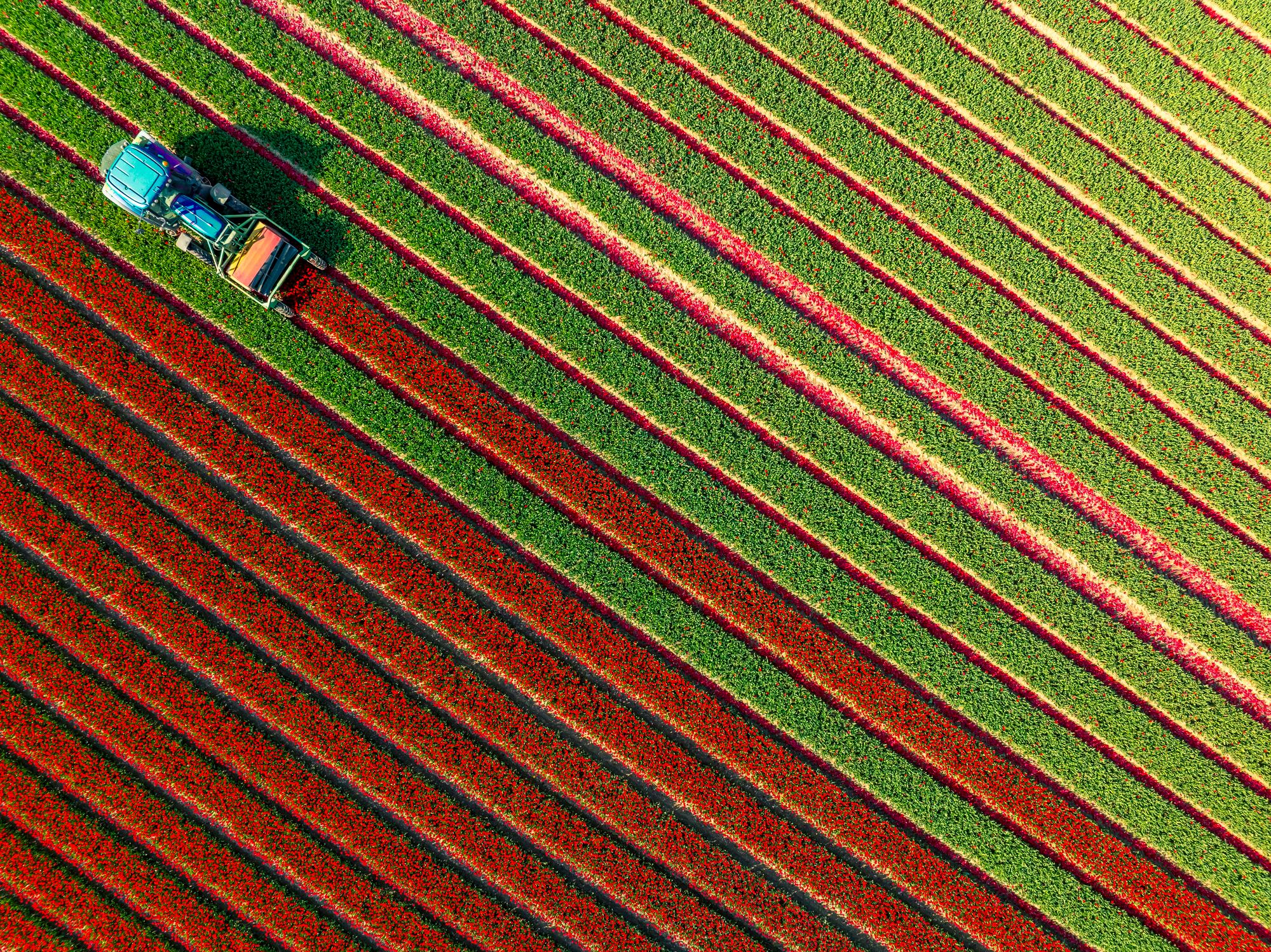 First‑mile visibility starts at the row level, where climate stress, inputs and planting decisions shape global supply.