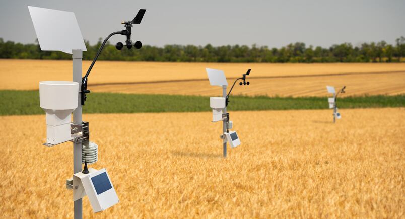 AI-powered personal weather forecasts promise to boost crop yields