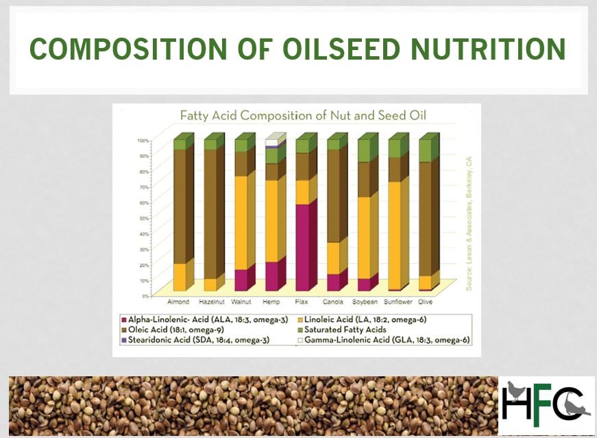 hemp-nutritional-value-compared-to-other-oilseeds.jpg
