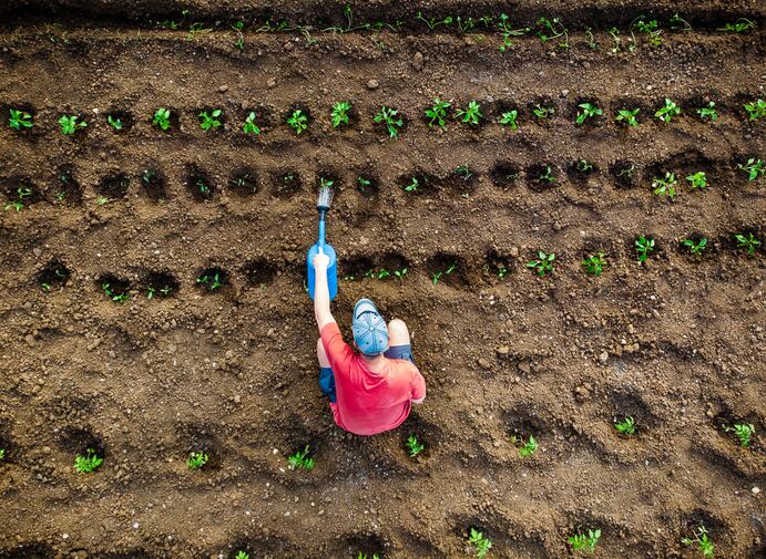 Could RNAi be the game changer in crop protection? 