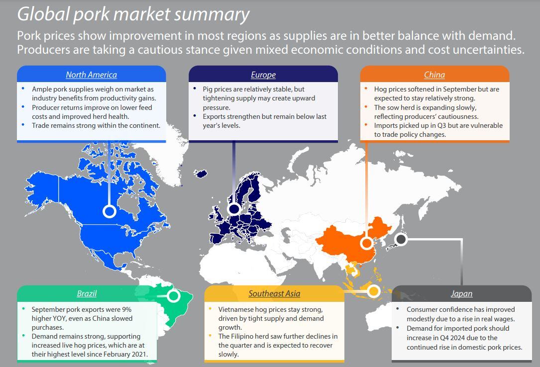 global-pork-market-summary-oct-2024-Rabobank.jpg
