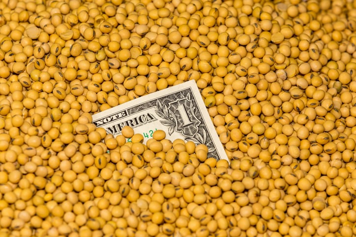 Organic-soybean-meal-from-India-faces-anti-dumping-claims-in-US.jpg