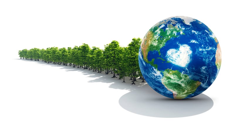 German agricultural leaders rally against implementation challenges of EUDR