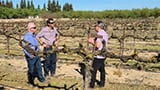 Technology to improve crop production: What is inhibiting biocontrols?