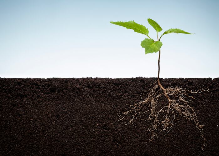 ‘The big deal here is we are doing it without an agronomic practice change’: Cquesta celebrates US$5 million seed funding