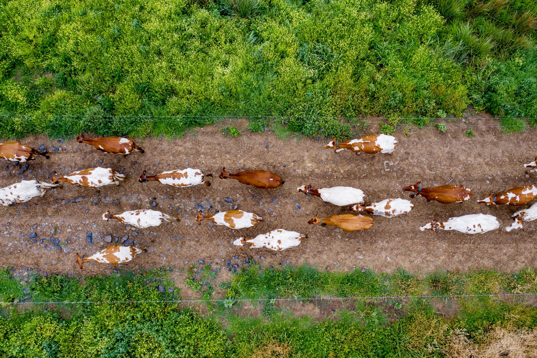 A large of tranche of government money earmarks solutions to cut methane emissions.