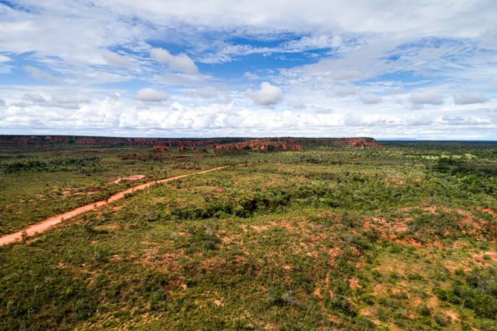 New free deforestation checker now available for Brazilian soy buyers