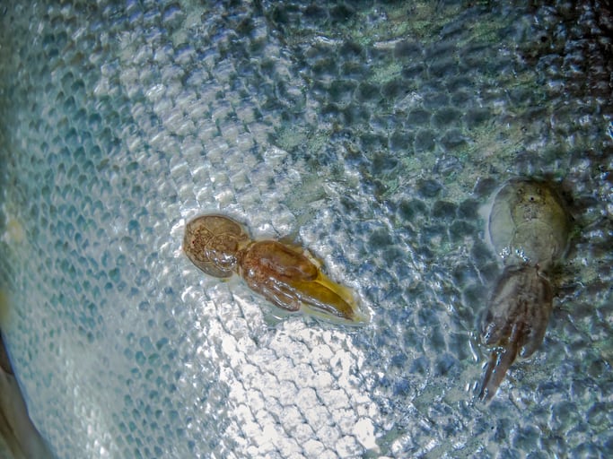 GettyImages-1214388995.jpg