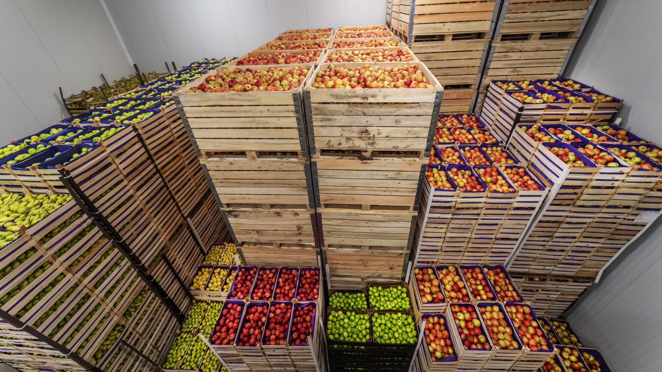 Integrate to improve: How Blockchain, IoT could help cold chain systems effectively tackle global hunger and food waste