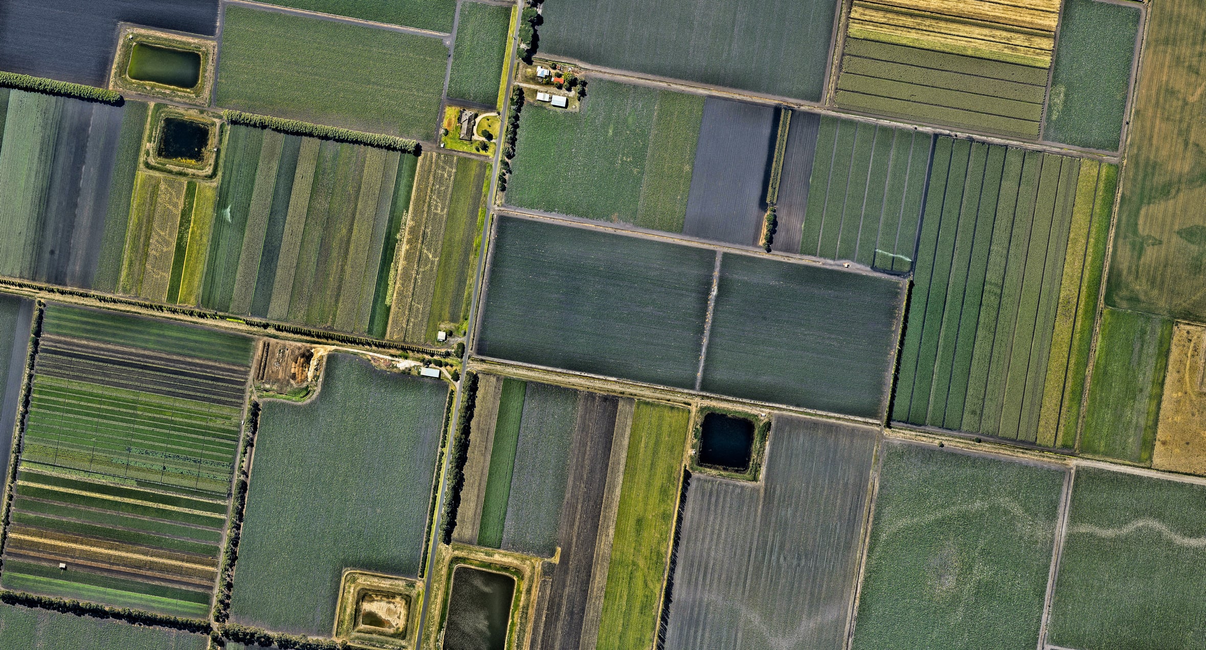 An aerial view of fields inspired Millenaar to realise the shortfalls of modern crop spraying.
