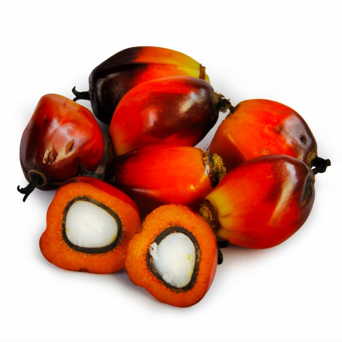 AIC-launches-new-palm-oil-credit-purchase-scheme.jpg