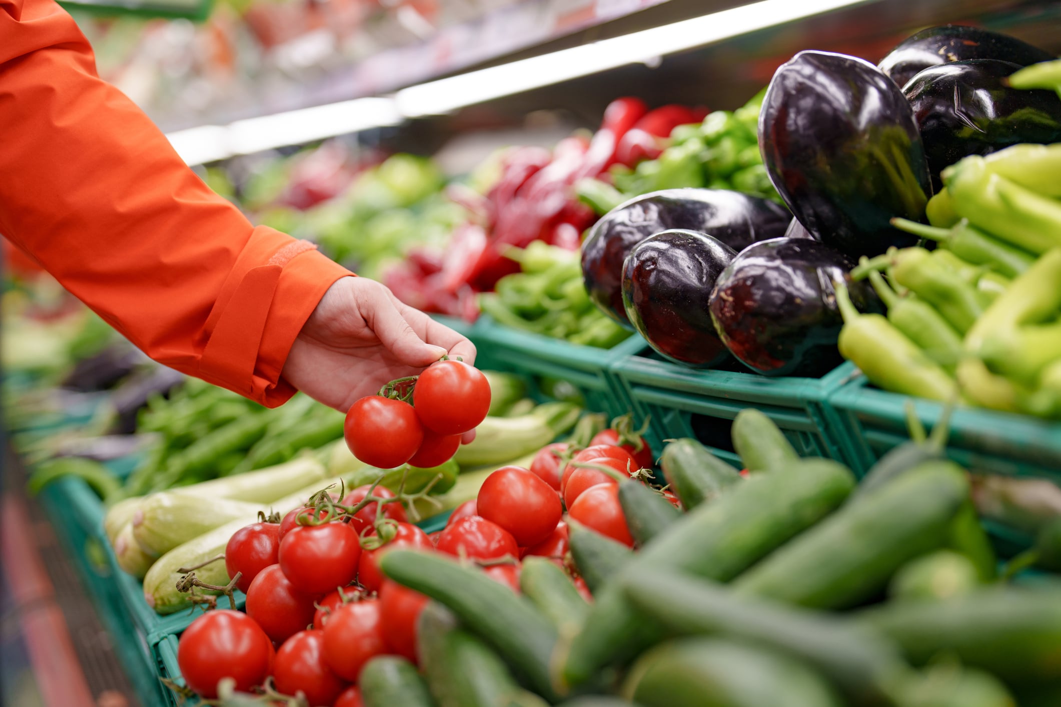 Cutting carbon miles: Aussie firm details circular canning plan to boost onshore agrifood supplies