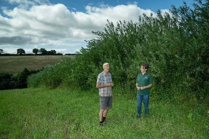 Sainsbury-s-embraces-agroforestry-to-cut-carbon-emissions.jpg
