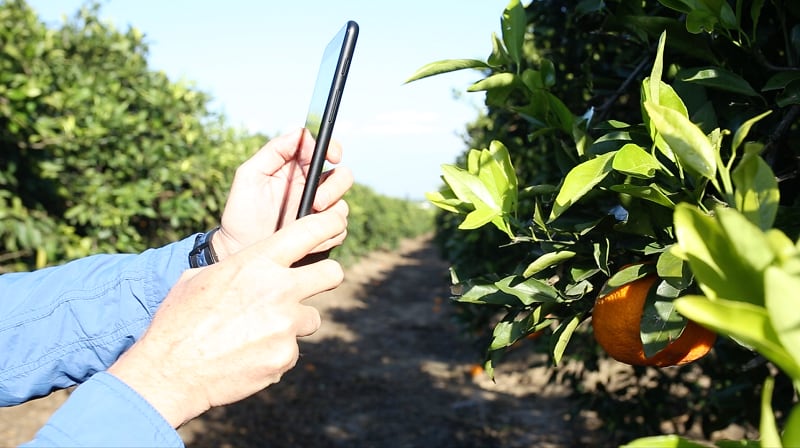 Workers-in-the-Field-Using-Seetree-s-App-2.png