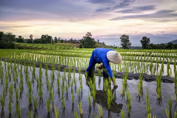 New-research-assesses-how-to-tackle-China-s-nutrient-deficiencies-and-food-waste.jpg