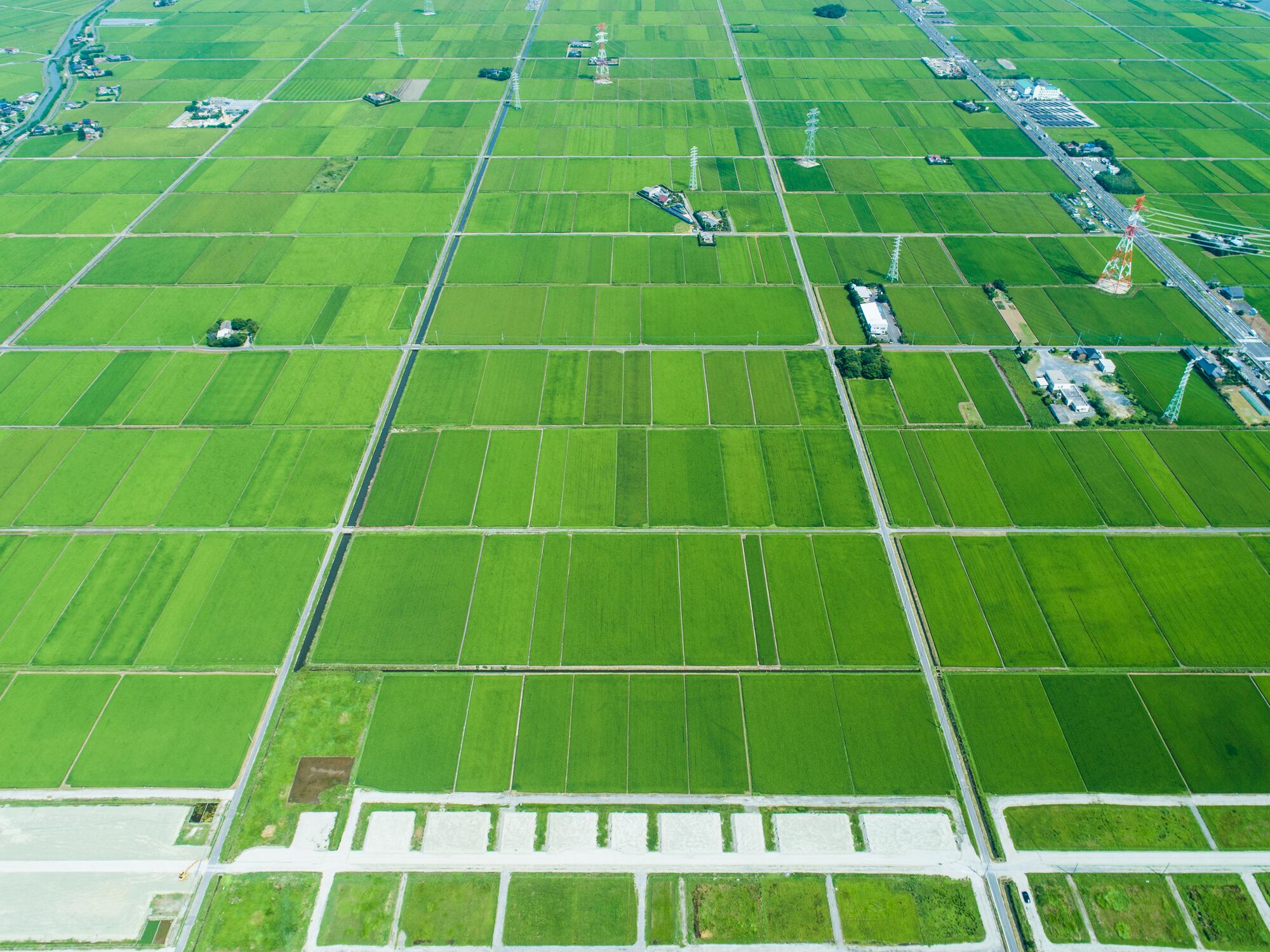 Hybrid rice may be key to cutting GHG emissions while protecting yields