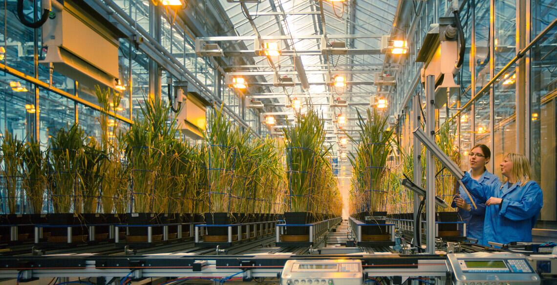 £3.3m project aims to ‘eliminate dependence’ on nitrogen fertilisers in UK