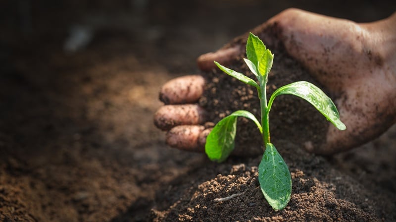 Syngenta celebrate Soil Health Day with a webinar discussing the investment opportunity in resiliency.