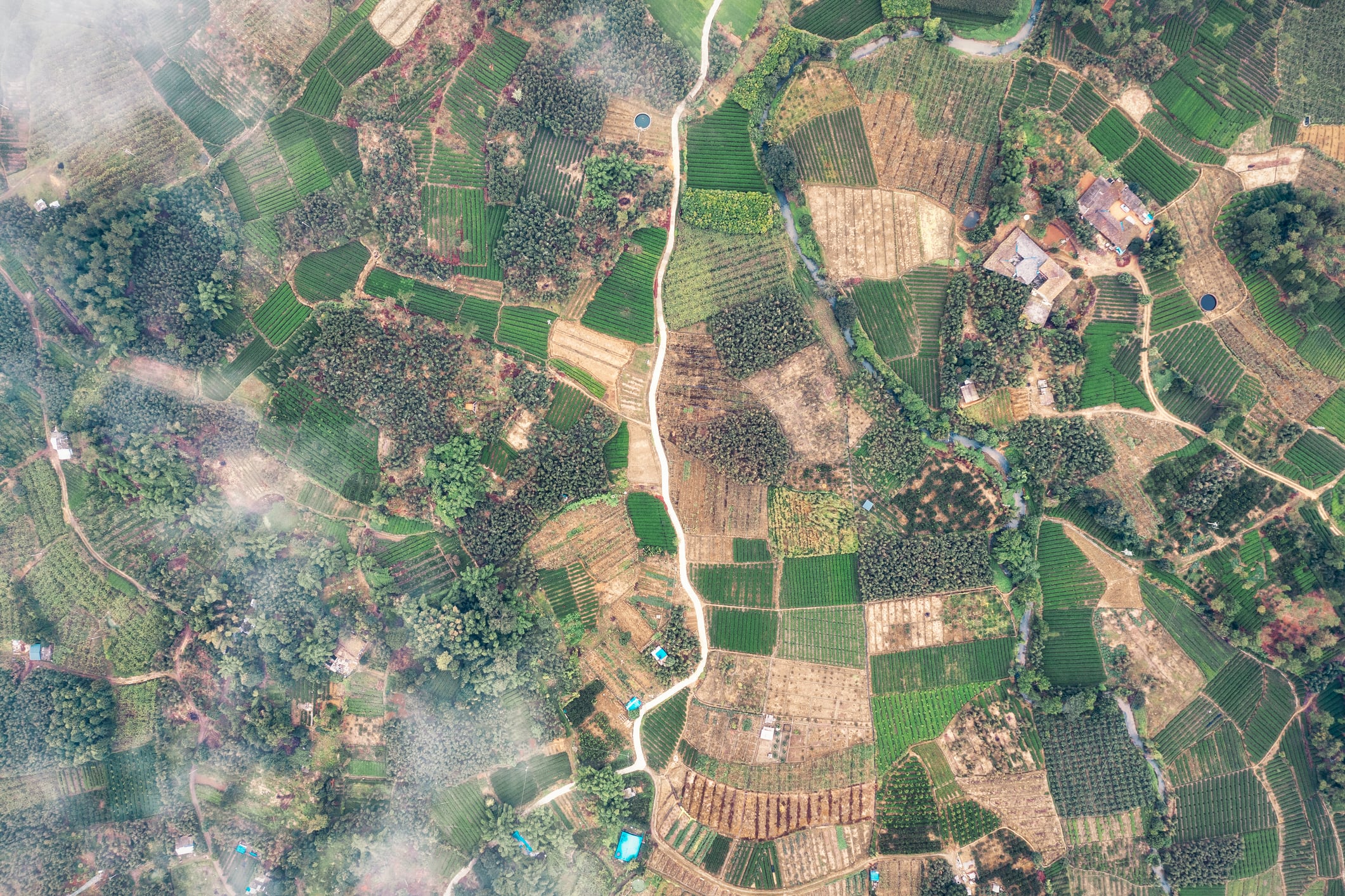 Hyperspectral imagery: UK start-up Messium lands £3.3m to seed growth