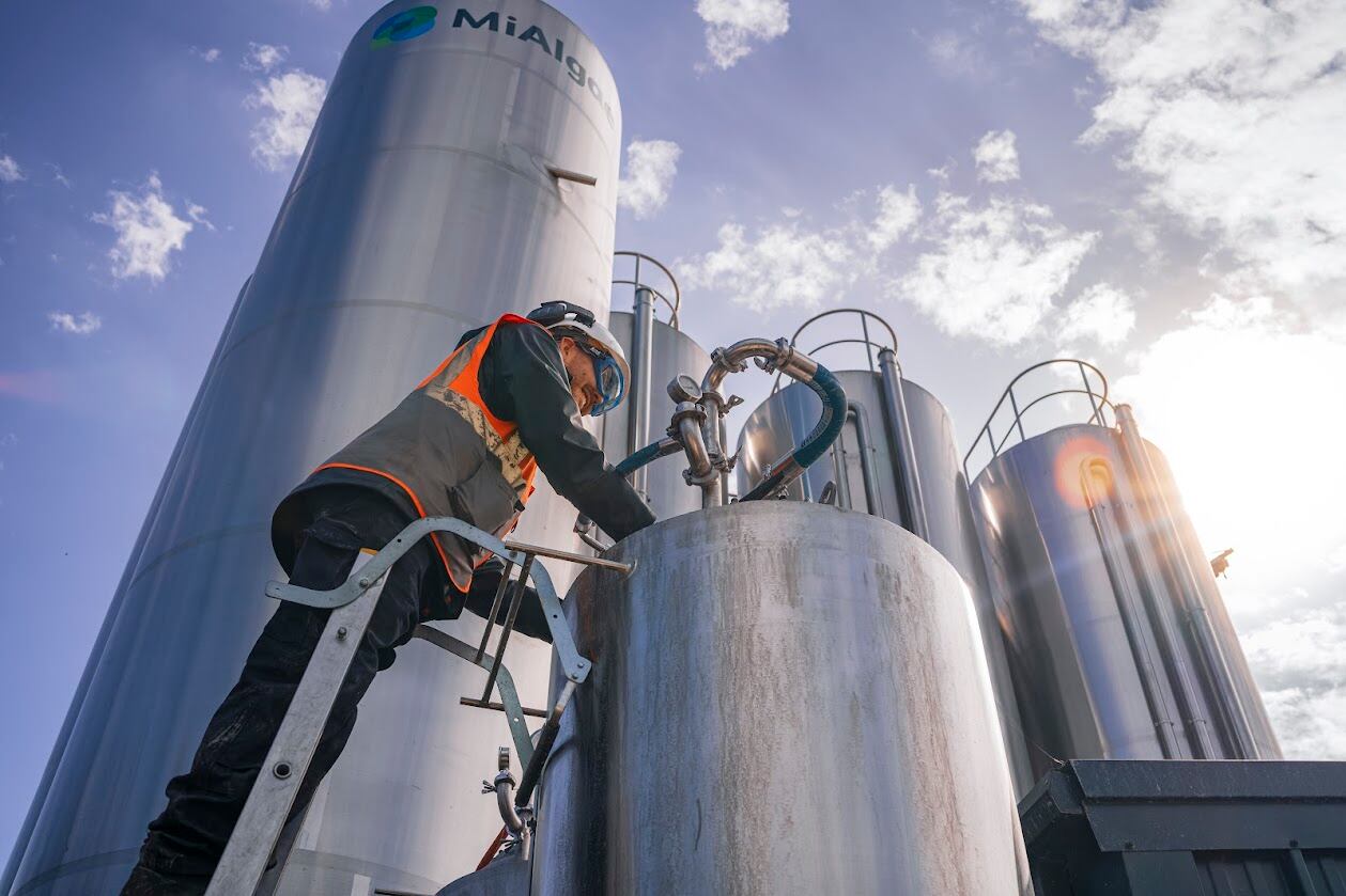 International expansion is key part of MiAlgae’s growth strategy