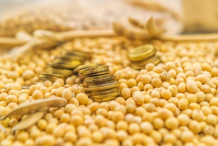 Extending the Soy Moratorium to the Cerrado would deliver results: NGO