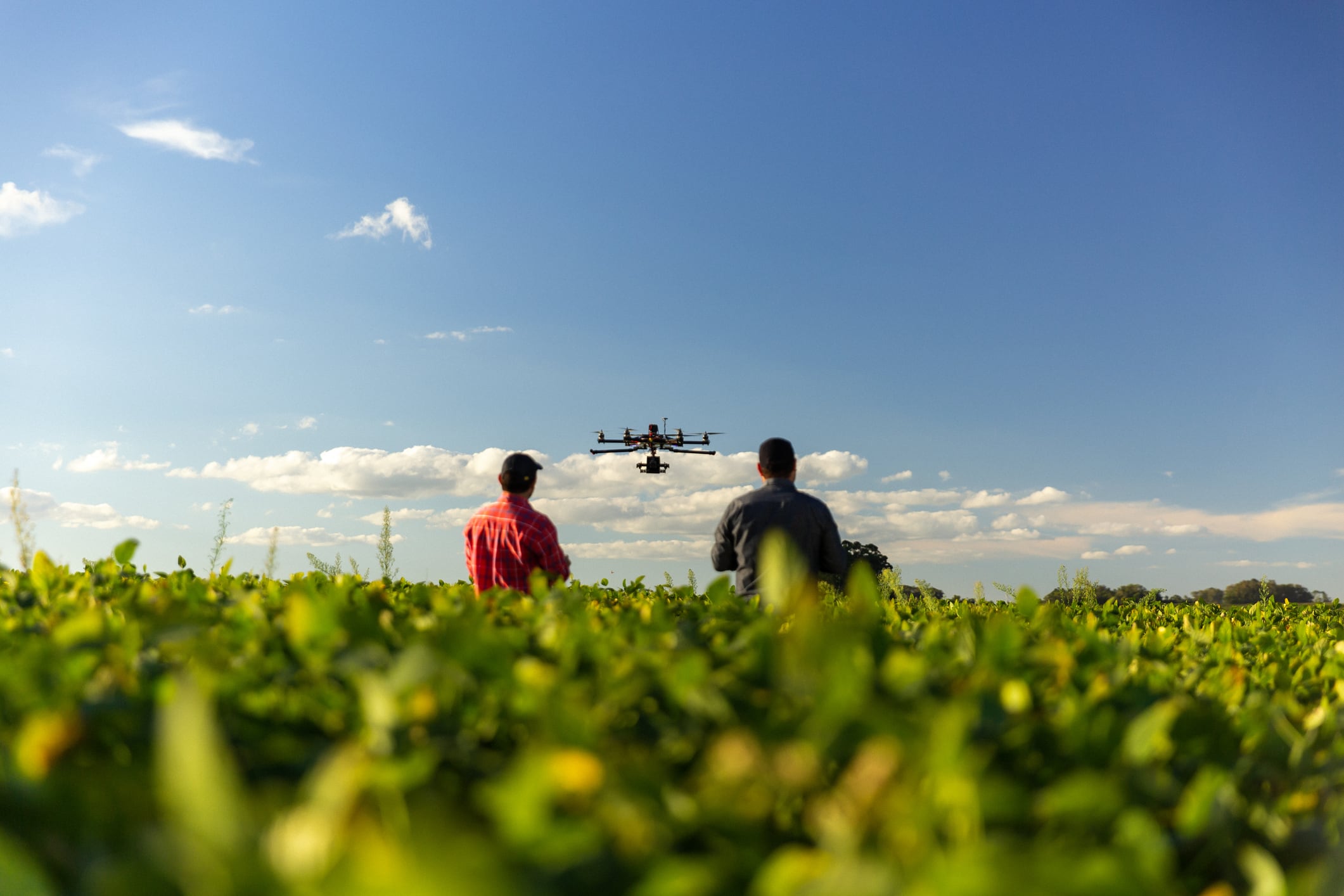 ‘We had no margin for error’... What went wrong at Guardian Agriculture?