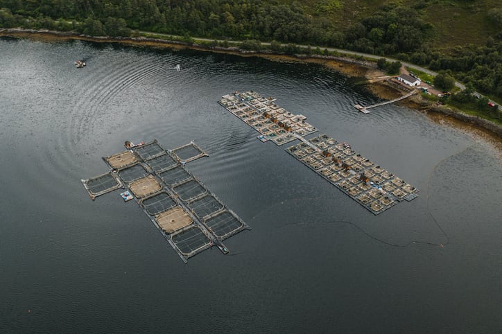 IFFO technical director: ‘The fishmeal and fish oil industry is no longer the whipping boy of the feed ingredient world’
