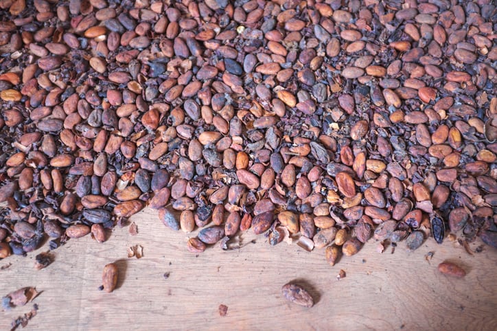Côte d’Ivoire: Cocoa farmers turn to biochar to boost yields and soil quality  