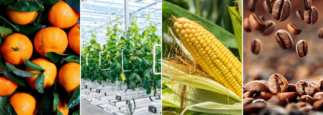 Climate-Smart-Agri-Food-innovation-and-investment-strategies-in-Mexico.jpg