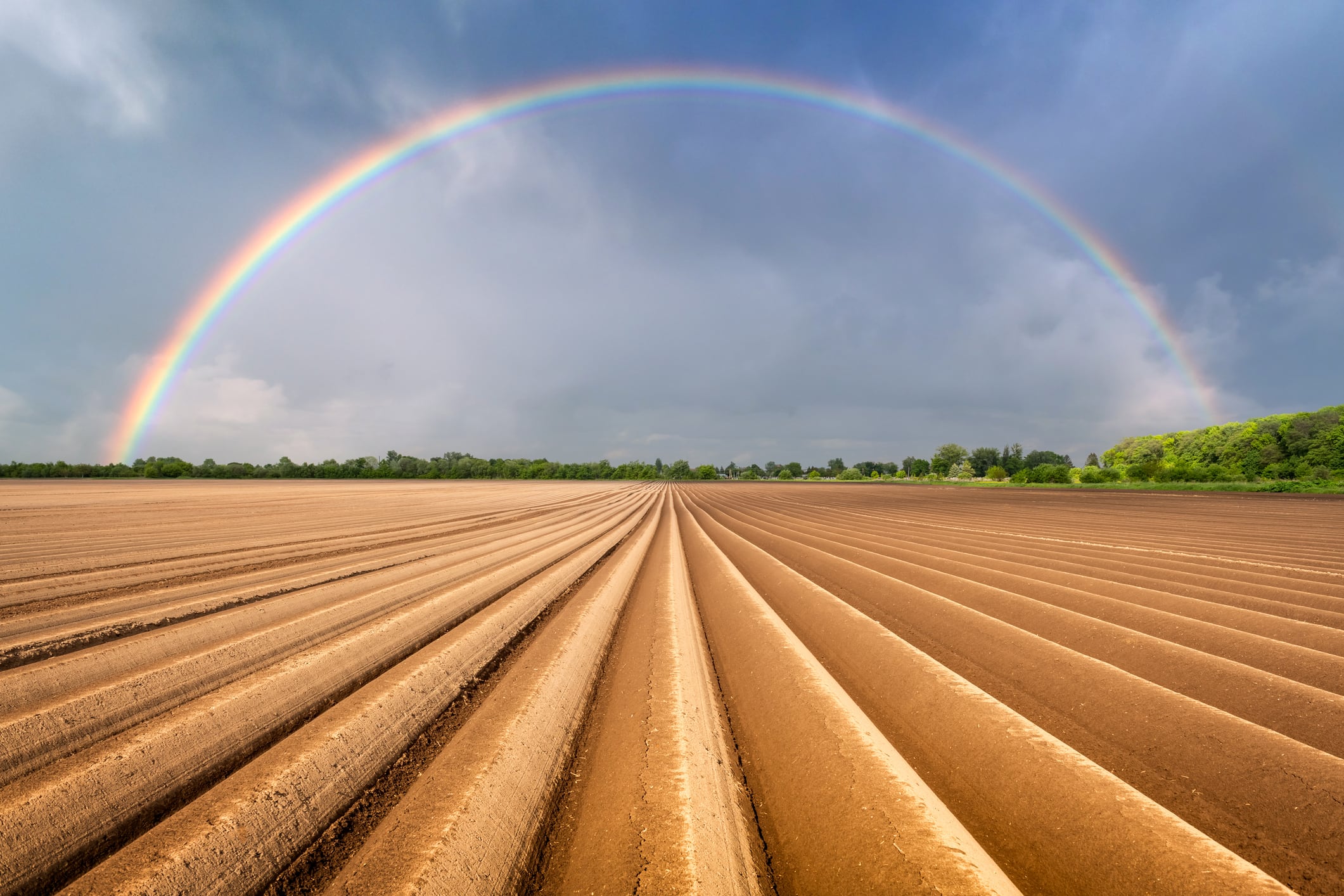 From shakeout to shape up: New analysis explains why start-ups shut down and where founders and investors should double down next year.