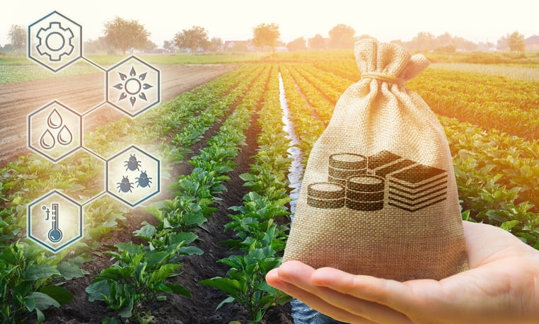 US university undertaking research into benefits of feeding cattle hemp biomass 