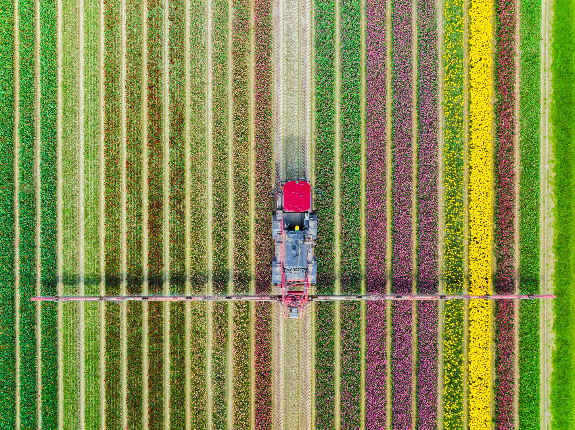With fertiliser markets under pressure, startups like Arevo are pitching new ways to deliver nutrients more efficiently.