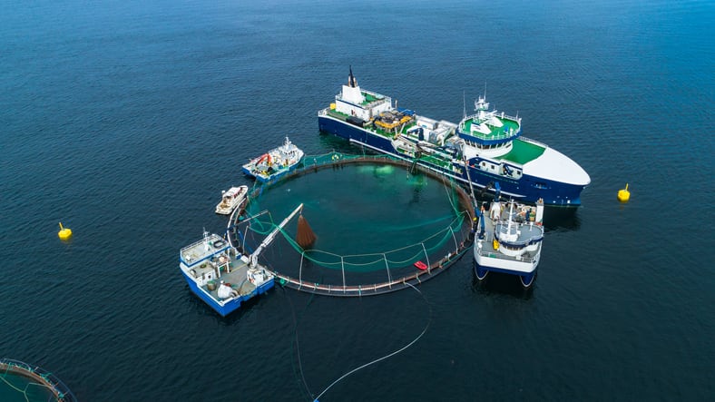 Veramaris wins fish oil challenge 