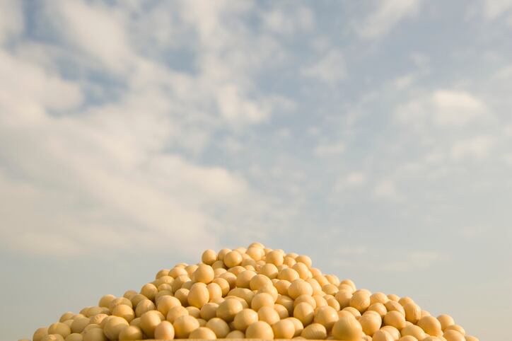 Soybean production in Europe continues to expand 