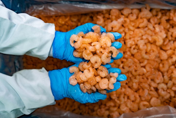 Shrimp sector woes