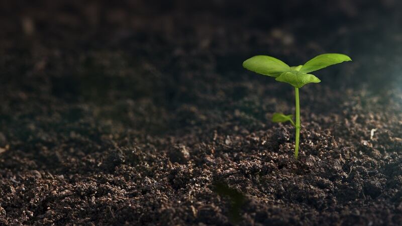 Windfall Bio converts methane into organic fertiliser.