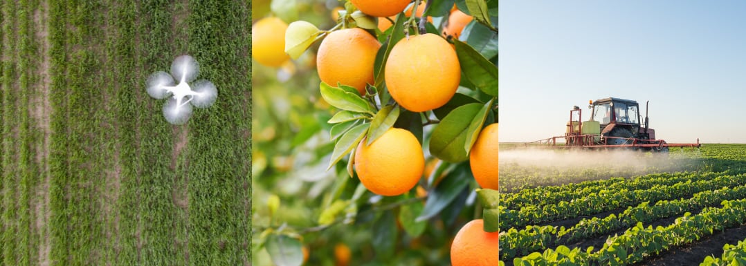 Sustainability-investment-and-innovation-in-climate-resilient-agriculture.png