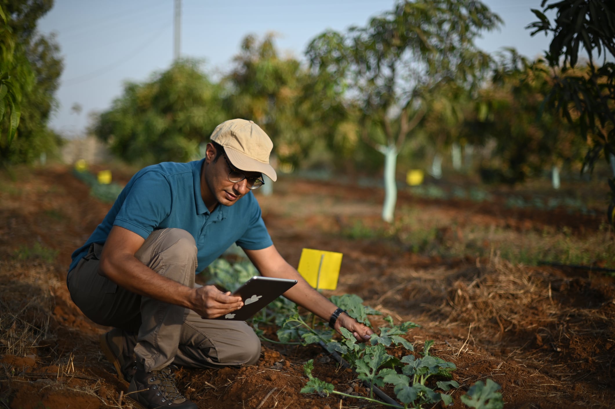 The missing link: Modern Village Foundation bridges agtech adoption gap for smallholders