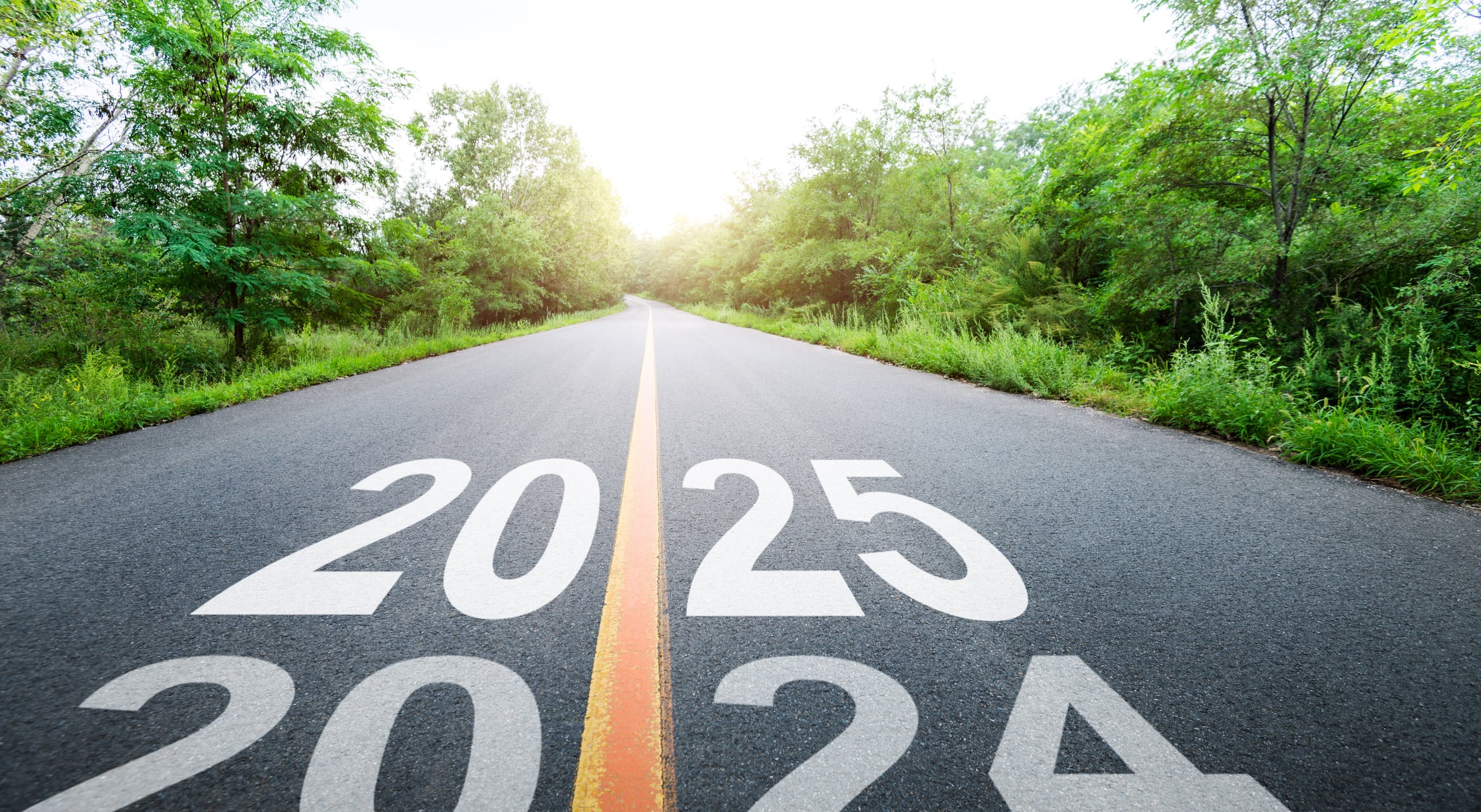 What’s in store for the US feed sector in 2025?