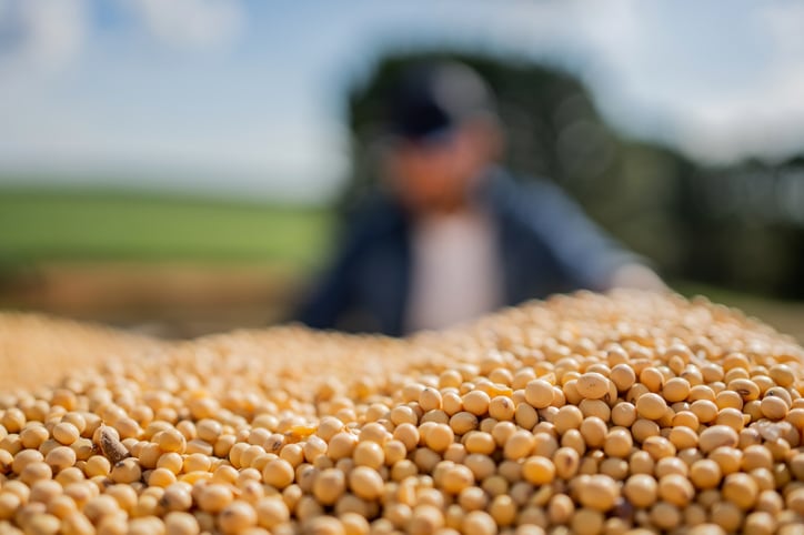 ADM expands non-GM capabilities in Hungary with acquisition of multi-seed and corn germ facility