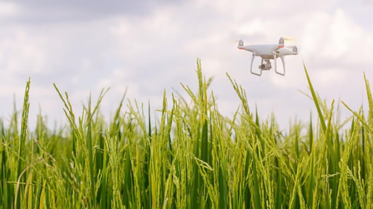 Agri-drone assent: DJI Agriculture highlights multiple crops as major beneficiaries amid rising government acceptance