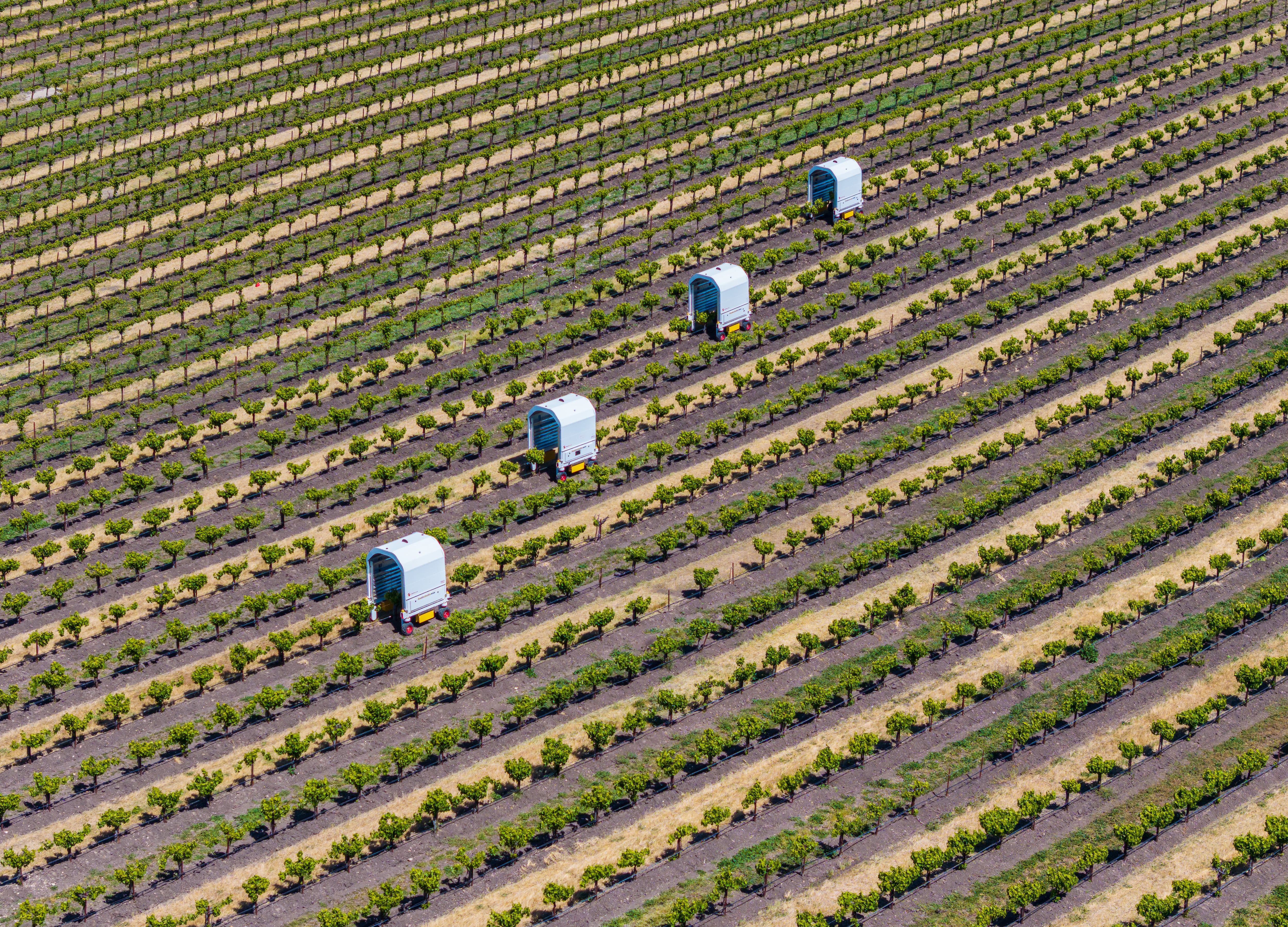 Aerial view of Thorvald robots, Whale Rock Vineyards, Templeton, California.